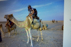 IMG-20240228-WA0009